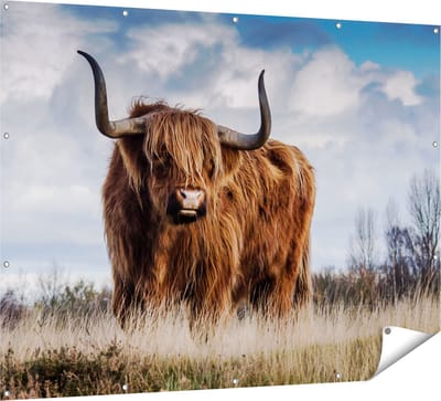 Gards Tuinposter Schotse Hooglander Koe - Kleur - 160x120 cm - Tuindoek - Tuindecoratie - Wanddecoratie buiten - Tuinschilderij