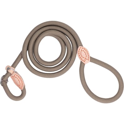 Hondenriem Veiligheidsriem Plotselinge Trek Comfortabele Greep Nylon Hondenriem voor Kleine Middelgrote Honden Kaki S(for 2-4kg) kaki