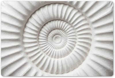 Placemats 45x30 cm - Placemat kunststof - 1 stuk - Schelp - Spiraal - Wit - Borden onderleggers - Decoratie voor op tafel - Keuken tafeldecoratie accessoires - Vinyl onderlegger - Tafelversiering