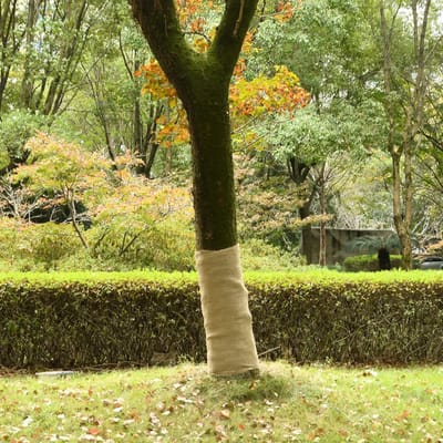 vidaXL - Juterol - 1x10 - m - 100% - Jute - 200 - g/m²