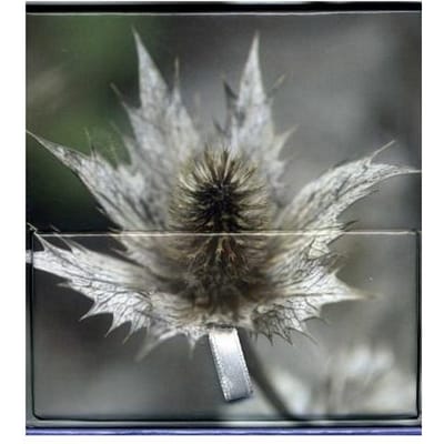 Memo Block Winter Flower - Peony Press