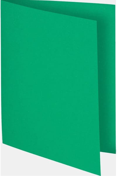 Exacompta 10x FLASH 80 - Pak van 100 inlegmappen - Groen - 150004E