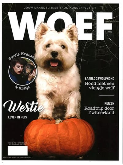 Woef - 742 2025