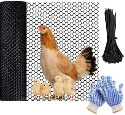 Golden crown - Hekwerk - Kippenhekje - 40cm hoog - Plastic rooster - Veilige omheining - Geschikt voor tuin en dieren