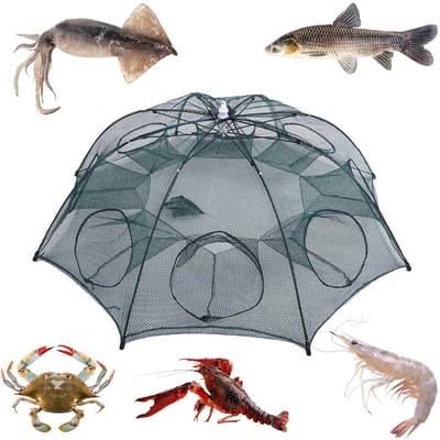 Dailygoods- Visnet Draagbaar - Opvouwbaar Nylon - 8 Gaten Vissen Mesh - Stevig en Duurzaam - Geschikt voor Paling/Krabben/Kreeften/Garnalen - Vissersnet