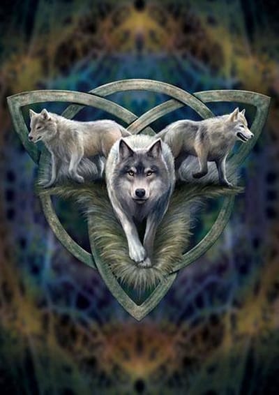 Anne Stokes Wenskaart Wolf Trio