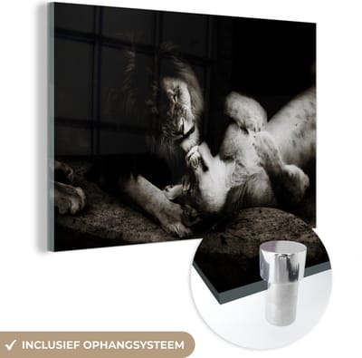 MuchoWow® Glasschilderij 60x40 cm - Schilderij acrylglas - Leeuw - Zwart - Wit - Foto op glas - Schilderijen