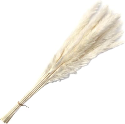 Decoratieve Stengels - Natuurlijke Decoratie - Bruiloft Decoratie - Nooit Verwelkend - 50cm Hoog - Natuurlijk