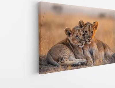 Saammp Canvas Schilderij - Leeuwenwelpen liggen tegen elkaar aan - Dieren - Natuur - 45x30 - Foto op canvas - Wanddecoratie - Muurdecoratie Woonkamer - Slaapkamer decoratie - Canvas Print