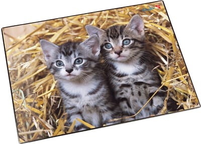 Läufer schrijfonderlegger Katten in het Stro, 400 x 530 mm