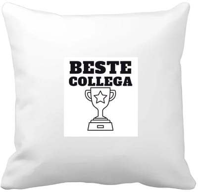 Akyol - beste collega Kussen hoes - Beste collega - teamgenoot - cadeau - 40 bij 40 cm