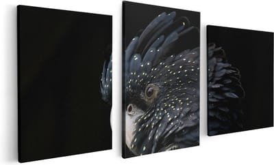Artaza Canvas Schilderij Drieluik Zwarte Kaketoe - 120x60 - Foto Op Canvas - Canvas Print