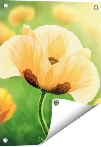 Gards Tuinposter Oranje Klaproos Bloemen - 40x50 cm - Tuindoek - Tuindecoratie - Wanddecoratie buiten - Tuinschilderij