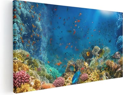 Artaza Canvas Schilderij Onderwaterwereld - 40x20 cm - Klein - Wanddecoratie Koraalrif - Muurdecoratie Vissen - Decoratie Zee