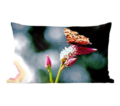 Sierkussens - Kussentjes Woonkamer - 50x30 cm - Vlinder - Bloemen - Insecten