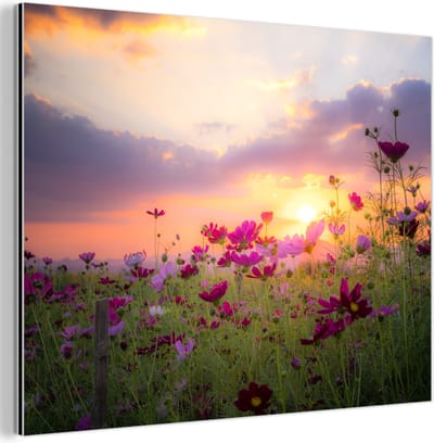 Aluminium schilderij 80x60 cm - Wanddecoratie metaal - Bloemen - Roze - Zonsondergang - Natuur - Weide - Horizon - Metalen muurdecoratie woonkamer - Decoratie industrieel - Foto op dibond - Industriële accessoires slaapkamer