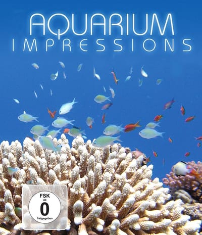 Aquarium Impressions