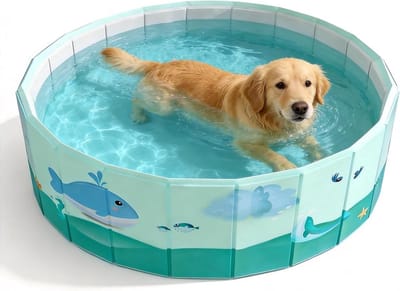 Opvouwbaar zwembad - Ballenbak hond - Buiten spelen - Niet-opblaasbaar ontwerp - 100 cm breed - Blauw