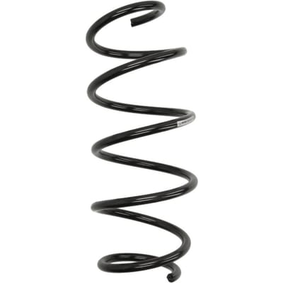 Chassisveer SACHS 998 880