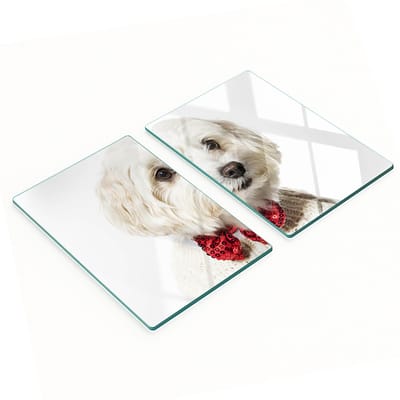 Glazen snijplanken met afbeelding van een Maltezerhond, 2x40x52 cm