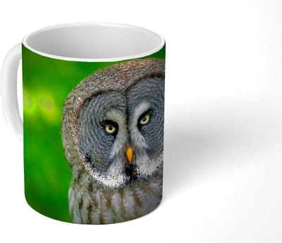 Mok - Koffiemok - Vogel - Uil - Dieren - Bruin - Portret - Mokken - 350 ML - Beker - Koffiemokken - Theemok