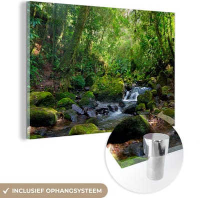 MuchoWow® Glasschilderij 60x40 cm - Schilderij acrylglas - Regenwoudkreek - Foto op glas - Schilderijen