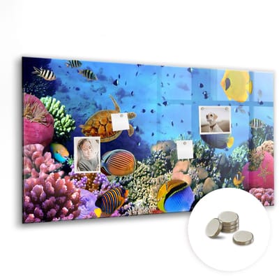 Tulup Glassboards - Onderwaterleven Magneetbord - 120 cm x 60 cm - Veelkleurig Magnet Board - Gratis 5 Sterke Magneten - Moderne Wanddecoratie - Memobord Keuken - Magnetisch Bord - Organiseer Je Bureau - Magneetbord Rechthoekig