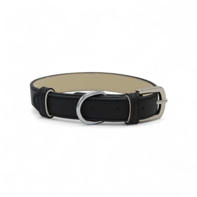 Dog's Companion Leren Halsband Hond - PU leren hondenhalsband - Lengte: 43 cm Verstelbaar van 27-37 cm x 20 mm - Zwart