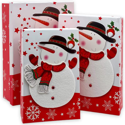 Dailygoods- Geschenkdoos 3-delige set - Geschenkdozen - Cadeauverpakking - Kerstmis - 3D-motief (sneeuwman) - Perfect voor feestdagen