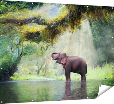 Gards Tuinposter Vrolijke Olifant in het Water - 160x120 cm - Tuindoek - Tuindecoratie - Wanddecoratie buiten - Tuinschilderij