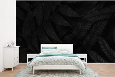 Behang - Fotobehang Bladeren - Zwart - Wit - Planten - Botanisch - Breedte 320 cm x hoogte 240 cm