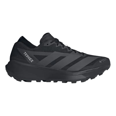 Trailschoenen adidas Terrex Agravic Gore-Tex 2