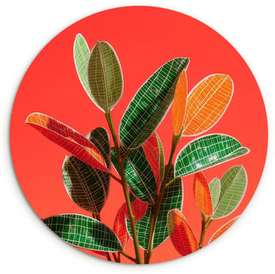 WallCircle® Wandcirkel 120x120 cm - Muurcirkel Bladeren - Nerven - Oranje - Structuur - Muurdecoratie woonkamer - Wanddecoratie slaapkamer - Kamer decoratie accessoires - Ronde schilderijen XXL