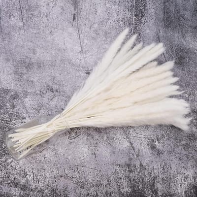 JGS Premium - Gedroogd pampasgras 30 stuks 40 cm - Kunstmatig boho home decor - Natuurlijke Phragmites Communis - Bloemen voor vazen en boeket - Bruiloften en feestdecoratie