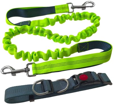 Allecto - Handsfree hondenriem - Verstelbare jogging hondenriem - Grijs en groen - Intrekbare bungee-riem - Geschikt voor medium en grote honden