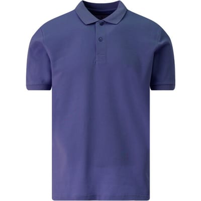 The BLUEPRINT Premium Polo Heren Blauw