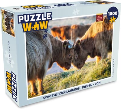 Puzzel Schotse Hooglanders - Dieren - Zon - Legpuzzel - Puzzel 1000 stukjes volwassenen