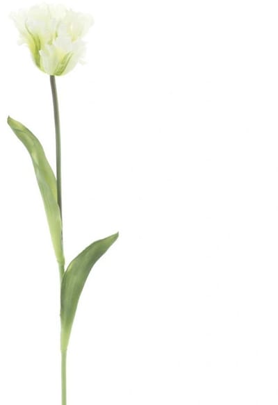 Erutan avon - PSO Single parrot spray Sally cream 71 cm