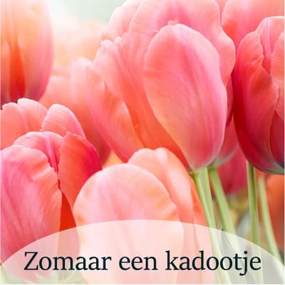 Luxe Bloemenkaartje - "Zomaar een kadootje" - Cadeaukaartje - Bloemenlabel - Kaartje - 7x7 cm - 20 stuks - Met Boorgaatje