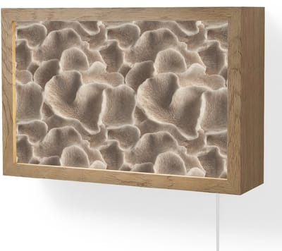 Wandlamp 30x20 cm - Oplaadbaar - Waaiervorm - Beige - Vezel textuur - Wandlampen binnen woonkamer - Slaapkamer lamp met kabel - Decoratieve nachtlamp - Vloerlamp snoer