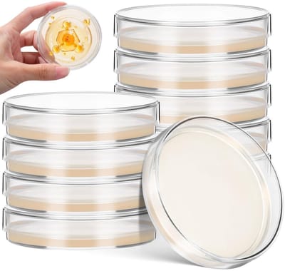 Set van 10 steriele agarplaten van 7 cm voor bacteriekweek, laboratoriumexperimenten en MINT-projecten