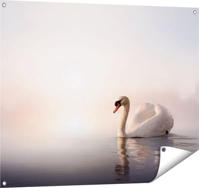Gards Tuinposter Zwaan in het Water tijdens de Mist - 100x80 cm - Tuindoek - Tuindecoratie - Wanddecoratie buiten - Tuinschilderij