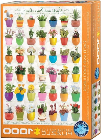 EuroGraphics 6000-0654,Cactussen & Vetplanten 1000-delige puzzel,48x68cm,Meerkleuren