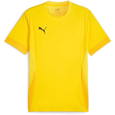 Jersey Puma TeamGoal