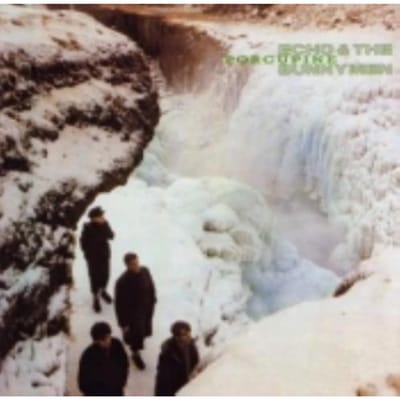CD ECHO & THE BUNNYMEN - Porcupine 2564611632 US Rock Gebruikt gray