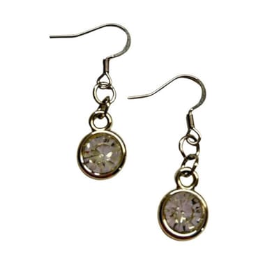 2 Love It Bling - Oorbellen - Transparant - Acryl hanger - RVS haken - 4 cm