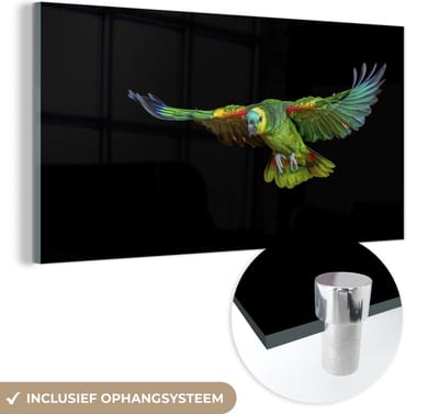 MuchoWow® Glasschilderij 40x20 cm - Schilderij acrylglas - Papegaai - Vogel - Veren - Foto op glas - Schilderijen