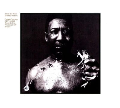 After The Rain - Muddy Waters