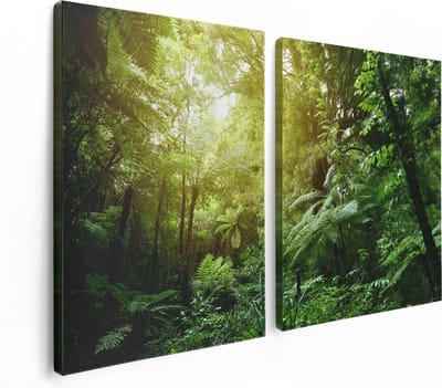 Artaza Canvas Schilderij Tweeluik Tropische Jungle Met Zonneschijn - 120x80 - Foto Op Canvas - Canvas Print
