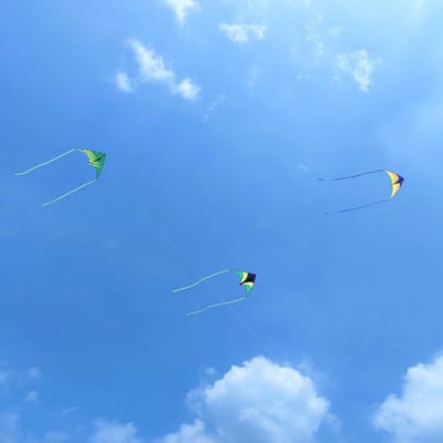 Grote Delta Vlieger Set van 3 - Ideaal voor Kinderen en Volwassenen van 4-12 Jaar